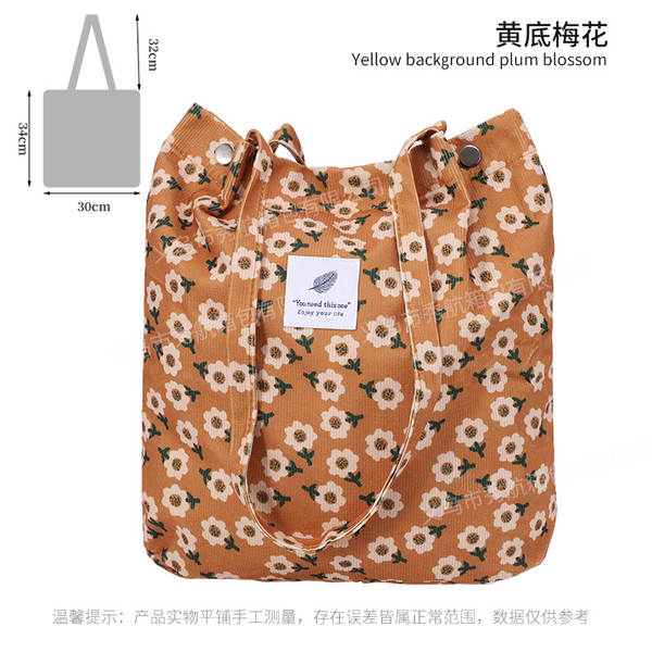 ins风简约灯芯绒帆布包双肩带帆布袋旅行外出收纳包女包单肩包
