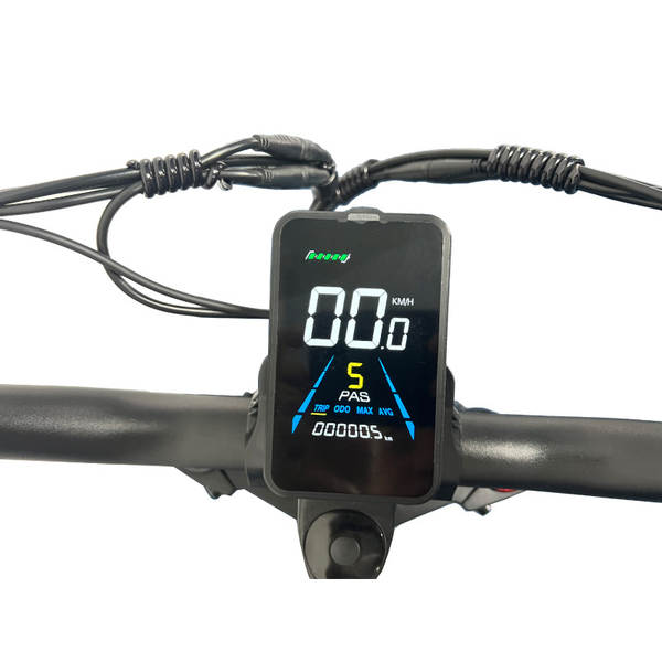 Fornecimento transfronteiriço de motores de 20 polegadas para carros de neve e motores para bicicletas com frenagem dianteira e traseira com bateria de lítio de 48V