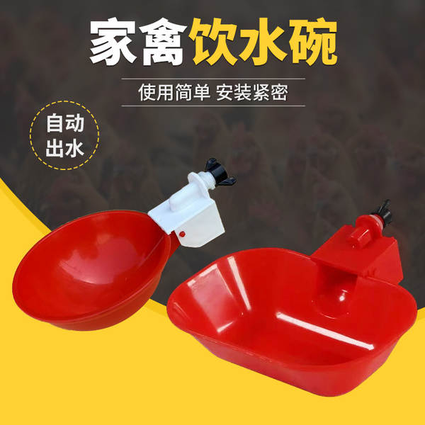 Bebedouro Automático para Aves