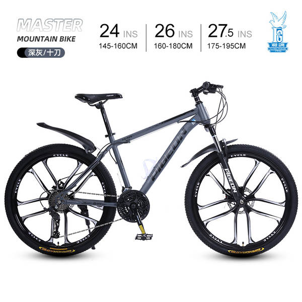 Bicicleta de Montanha 24 Polegadas