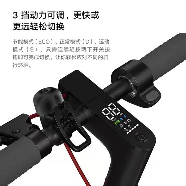 Scooter Elétrico para Adulto