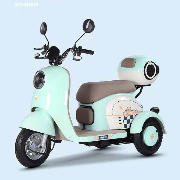 Novo carro elétrico de três rodas para adultos com caminhão para mulheres pequenas para transportar crianças idosas para carros elétricos