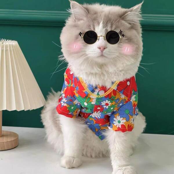 Cães roupas Cães Pequenos Cães Verão T-shirts Flores Roupa de praia Sennarico Quibago Gato Bear Pets