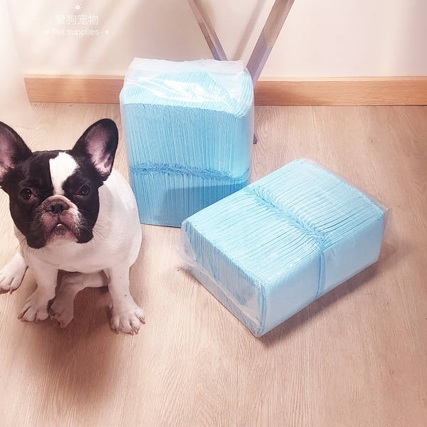 Fraldas Descartáveis para Cães