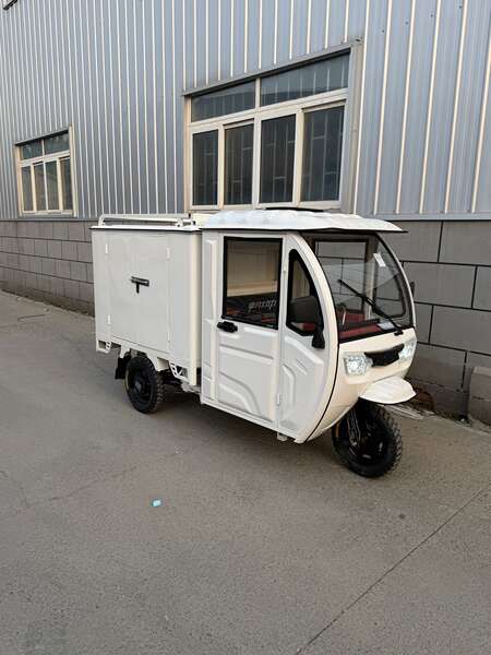 Carro elétrico de três rodas totalmente fechado para caminhadas Lithium