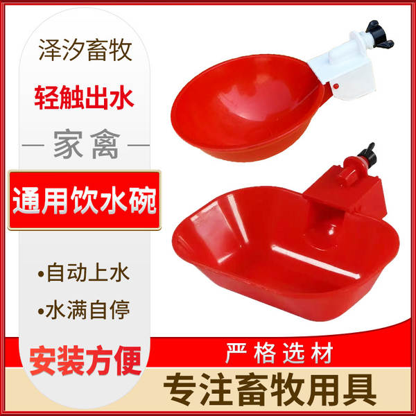 Bebedouro Automático para Aves