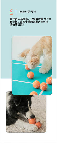 Bola de Borracha para Cães