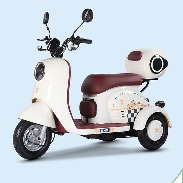 Novo carro elétrico de três rodas para adultos com caminhão para mulheres pequenas para transportar crianças idosas para carros elétricos