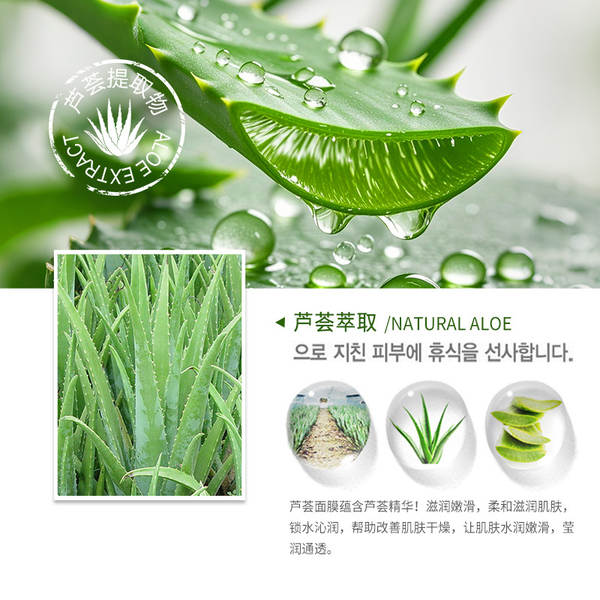 Máscara de Aloe Vera Hidratante