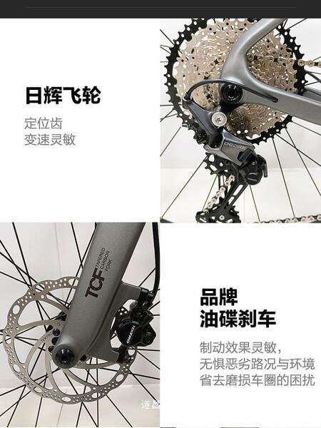 Bicicleta de Montanha Carbono 12 Velocidades