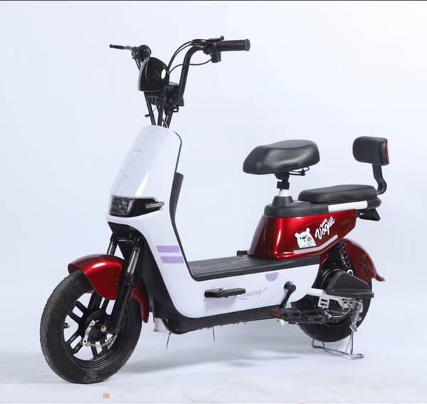 Novo veículo elétrico para adultos com duas rodas