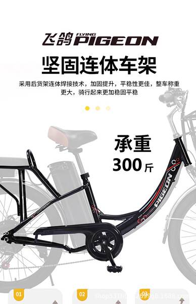 Bicicleta Elétrica para Adultos