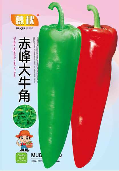 Sementes de Pimenta Miúda