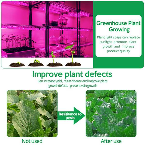 Luz transfronteiriça de crescimento de plantas USB 5V2835LDE todo o espectro impermeável luz de plantas vermelho-azul espectro de iluminação complexa