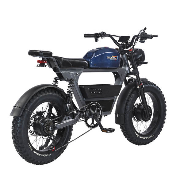 DITON TANK-300 Mountains Cross-country bicicleta elétrica offshore armazém moda vintage moto elétrica