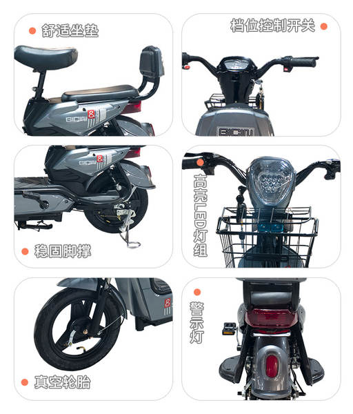 Bicicleta Elétrica Adulto
