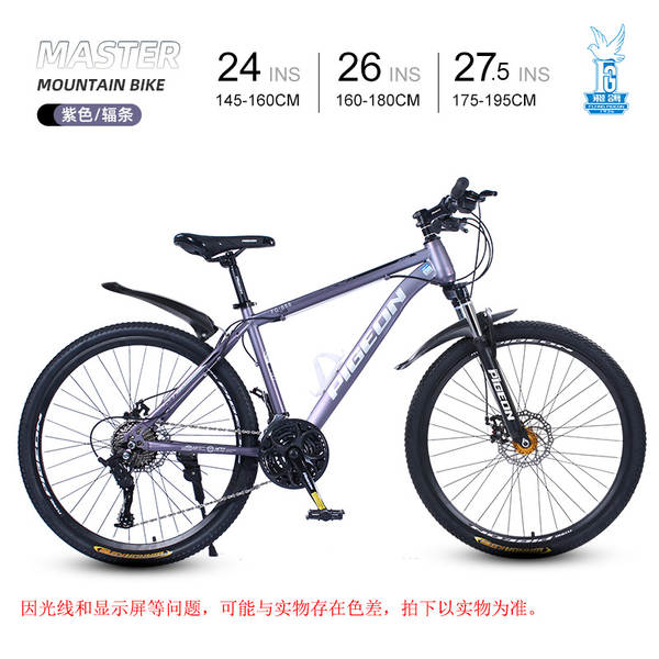 Bicicleta de Montanha 24 Polegadas