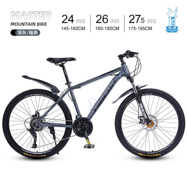 Bicicleta de Montanha 24 Polegadas