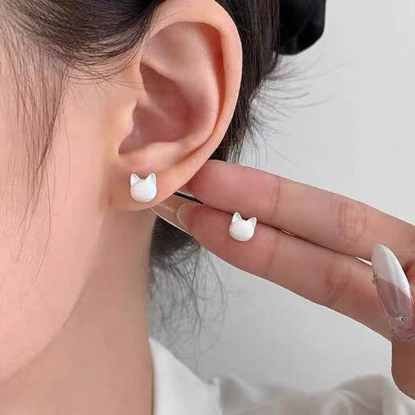 Brinco Feminino de Prata 925