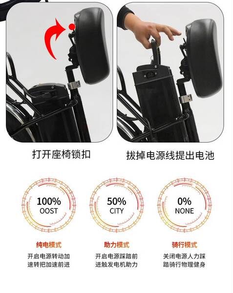 Bicicleta Elétrica para Adultos