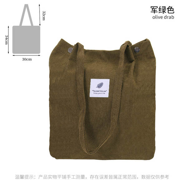 ins风简约灯芯绒帆布包双肩带帆布袋旅行外出收纳包女包单肩包