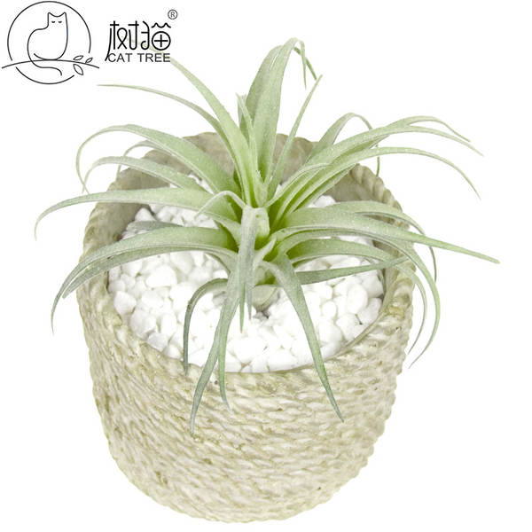 A árvore do gato simulação de plantas 15cm ar Phoenix plantação de pelúcia multi-carne mini-ar plantação de parede verde decoração de erva artificial