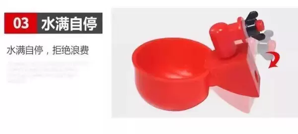 Bebedouro Automático para Aves