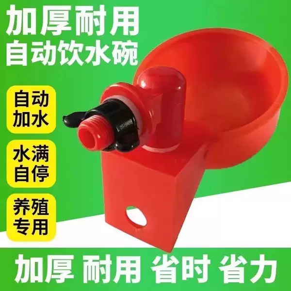 Bebedouro Automático para Aves