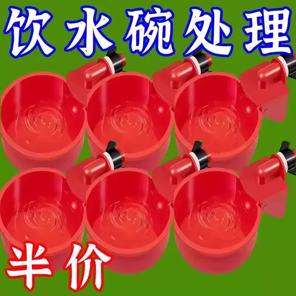 Bebedouro Automático para Aves