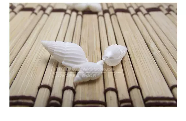Concha de Escultura para Aquário